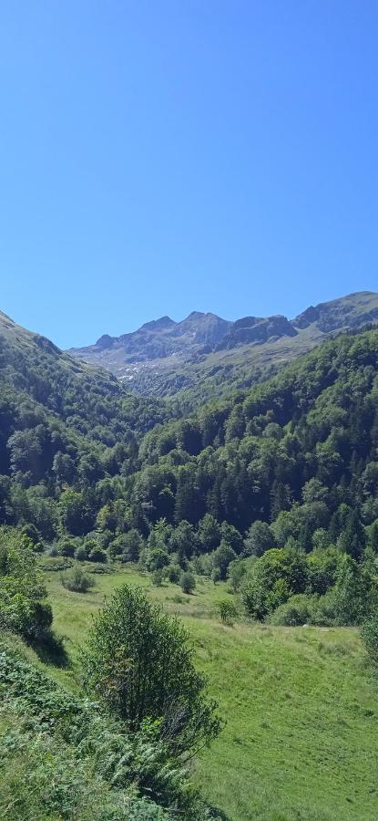 Studio Le Mont Beas Олю-ле-Бен Экстерьер фото