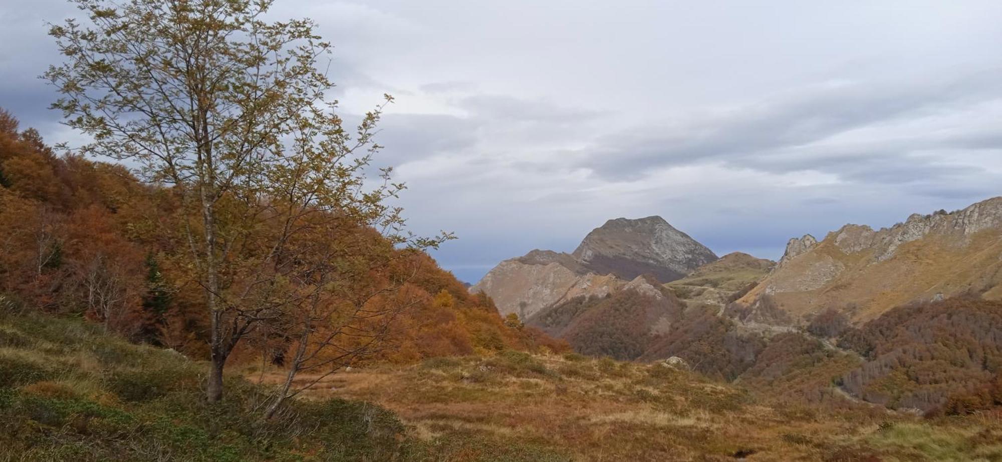 Studio Le Mont Beas Олю-ле-Бен Экстерьер фото